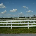 2017OTRA-1_426 (August 24, 2017)